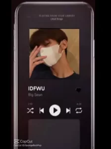 IDFWU-CAPCUT-TEMPLATE