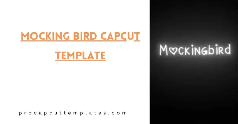 Mocking Bird CapCut Template