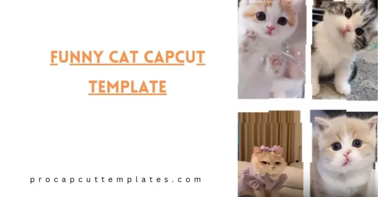 Funny Cat CapCut Template