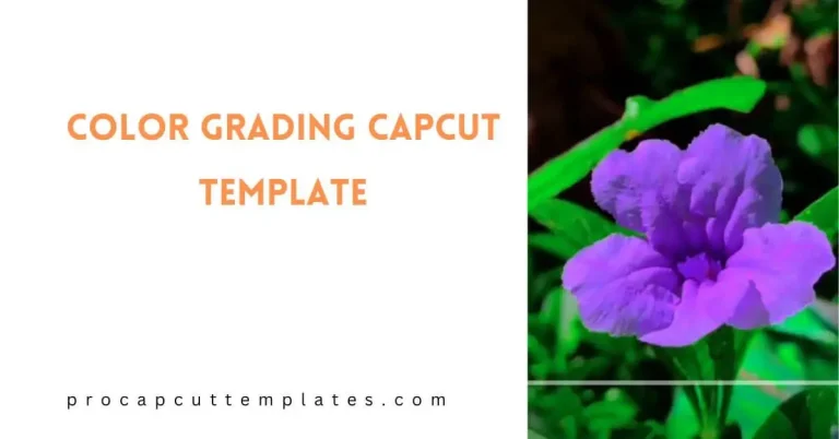 CapCut Color Grading Template