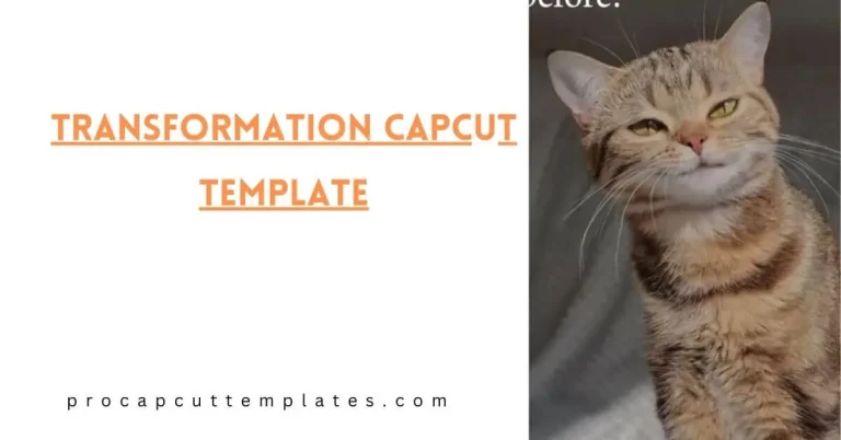 CapCut Transformation Template