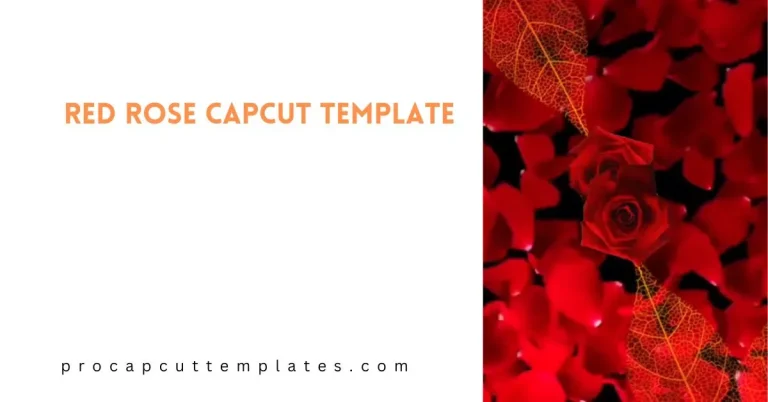 CapCut Red Rose Template