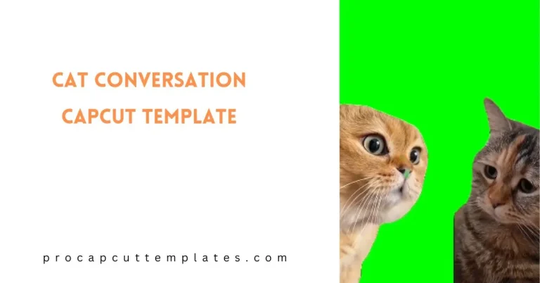 CapCut Cat Conversation Template