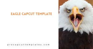 CapCut Eagle Template