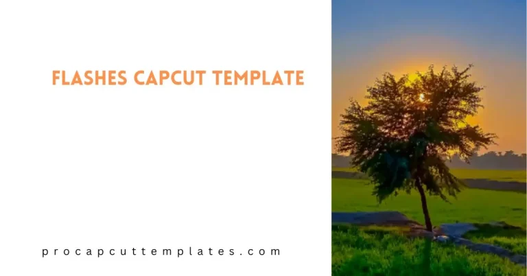 CapCut Flashes Template