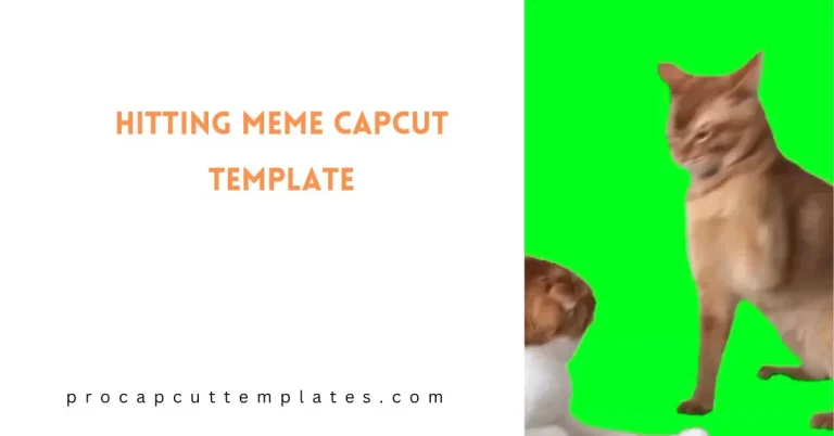 CapCut Hitting Meme Template