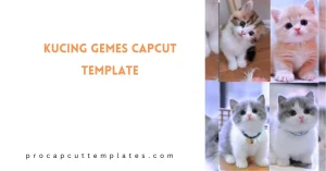 CapCut Kucing Gemes Template