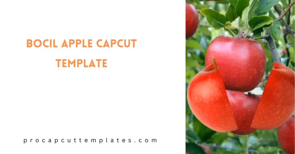 CapCut Bocil Apple Template