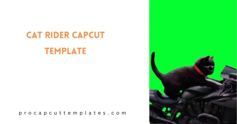 CAT Rider CapCut Template