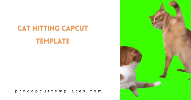 CapCut Cat Hitting Template