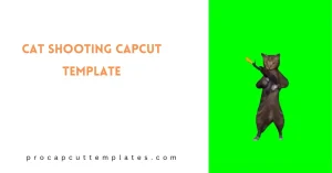 CapCut Cat Shooting Template