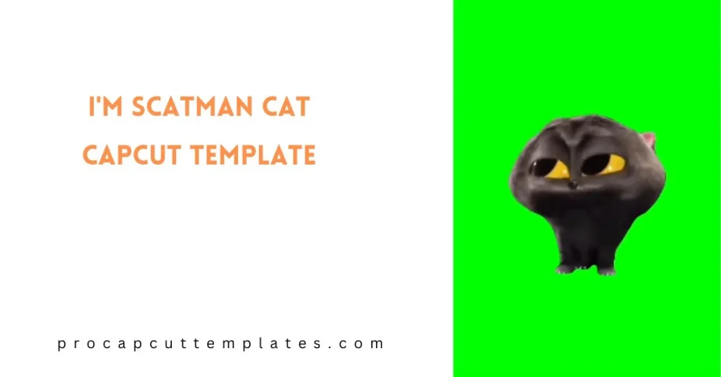 CapCut I'm Scatman Cat Template