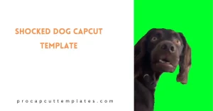 CapCut Shocked Dog Template