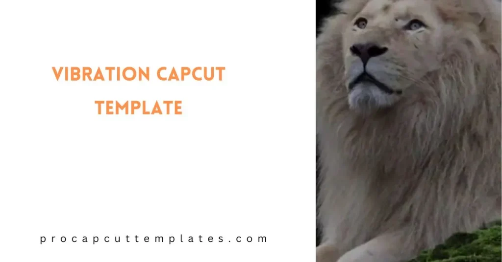 CapCut Vibration Template