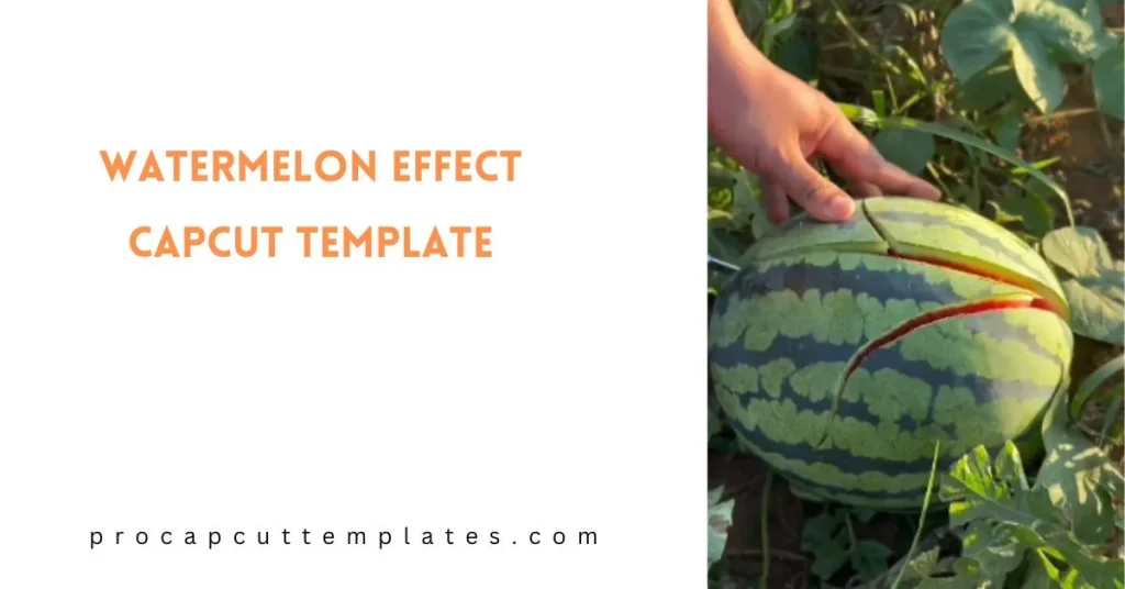 CapCut Watermelon Effect Template