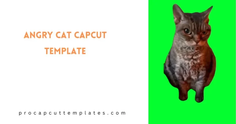 CapCut Angry Cat Template