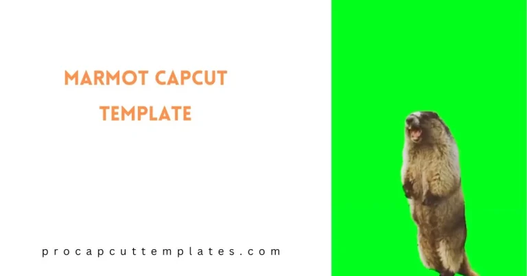 CapCut Marmot Template