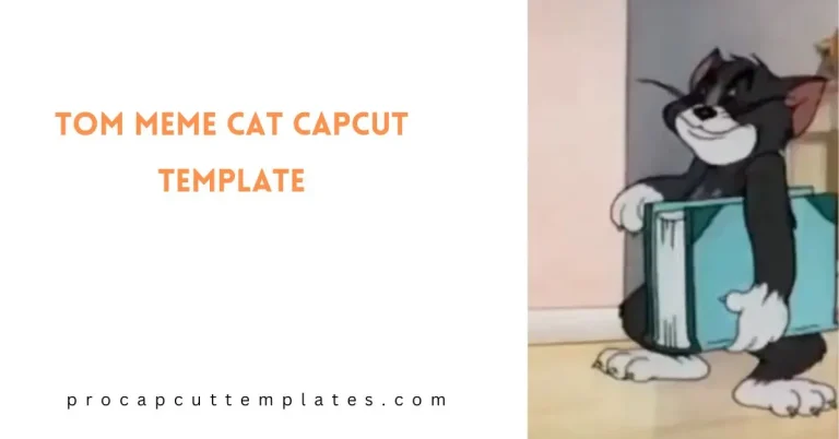 CapCut Tom Meme Cat Template