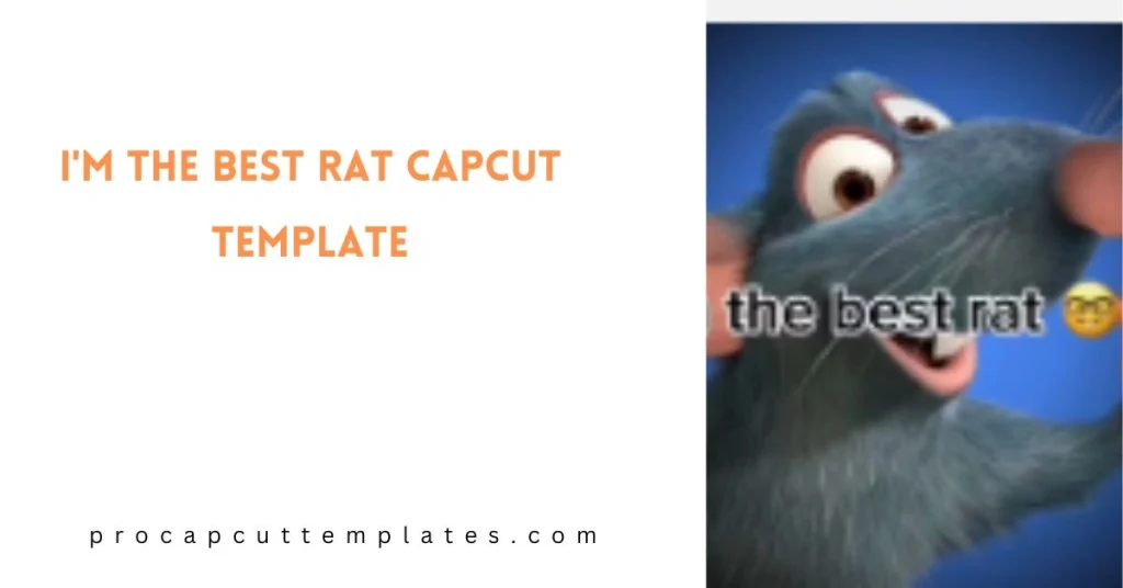 CapCut I'm the Best Rat Template