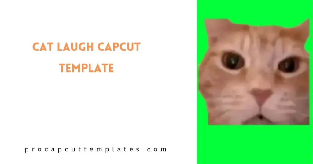 CapCut Cat Laugh Template