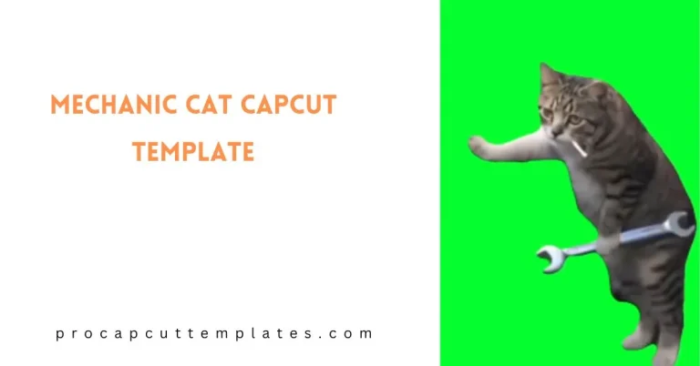 CapCut Mechanic Cat Template