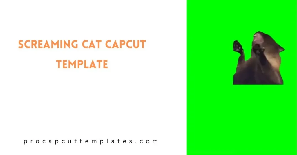 CapCut Screaming Cat Template
