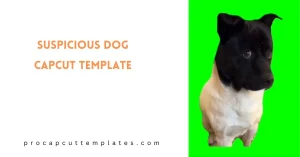 CapCut Suspicious Dog Template