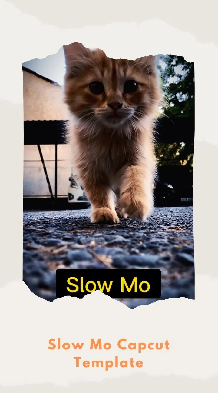 Capcut Slow Mo Template