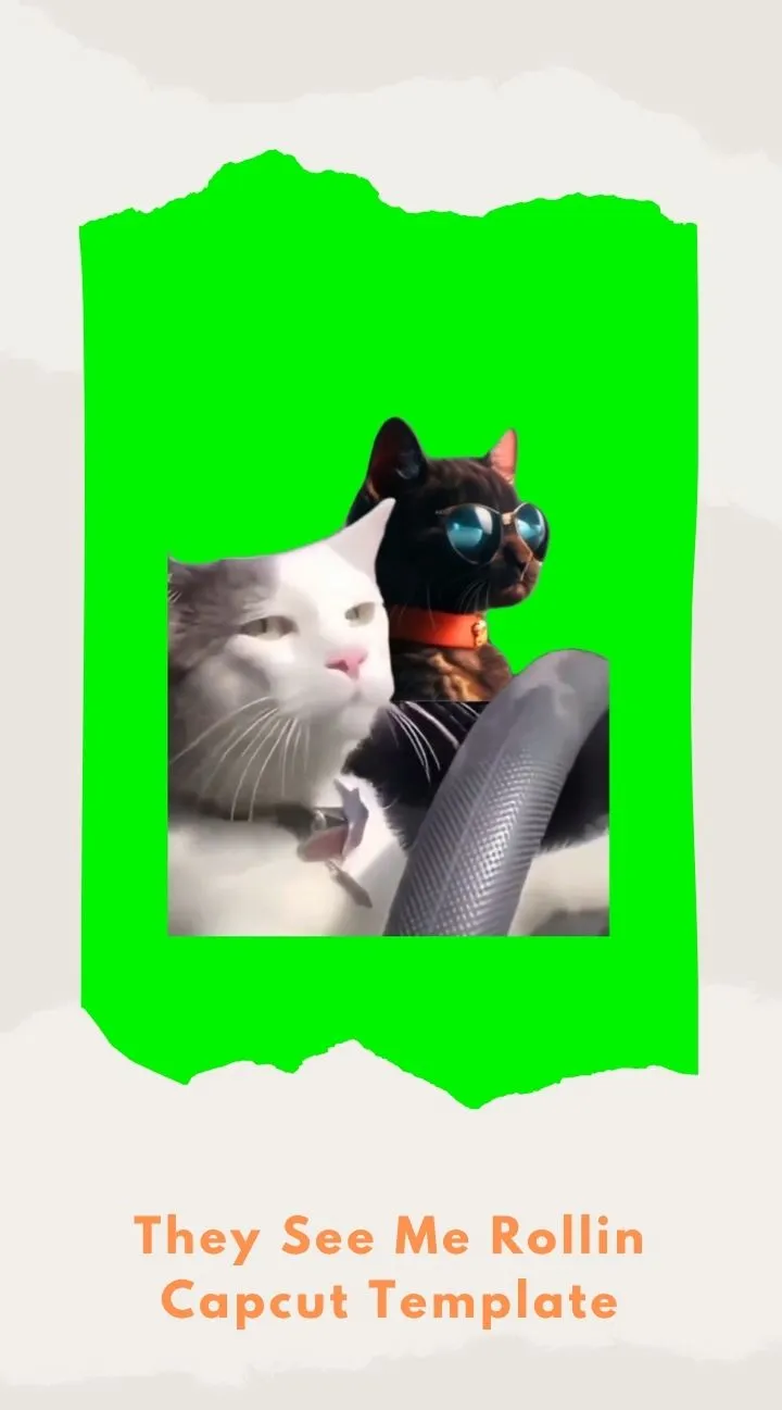 Capcut They See Me Rollin Template