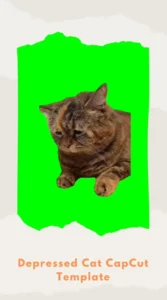 CapCut Depressed Cat Template