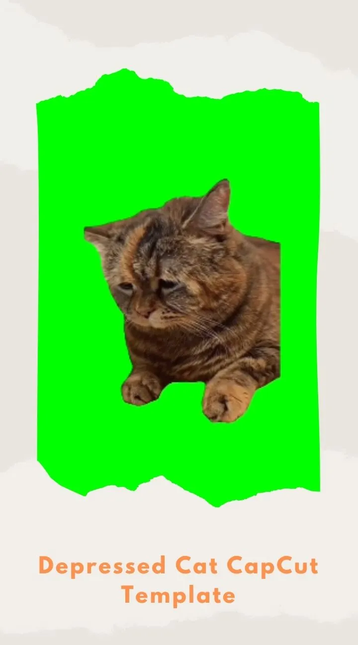 CapCut Depressed Cat Template