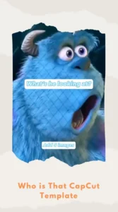 CapCut Who is That Template