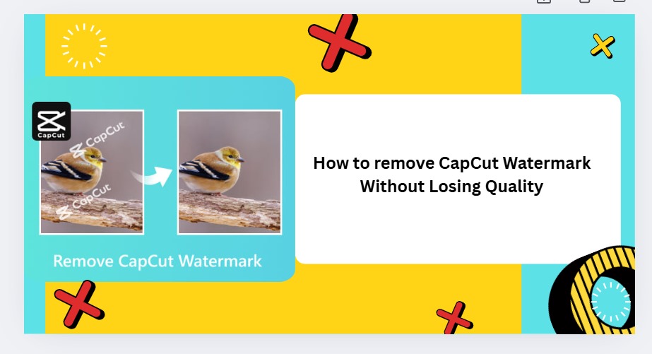 How to remove CapCut Watermark Without Losing Quality
