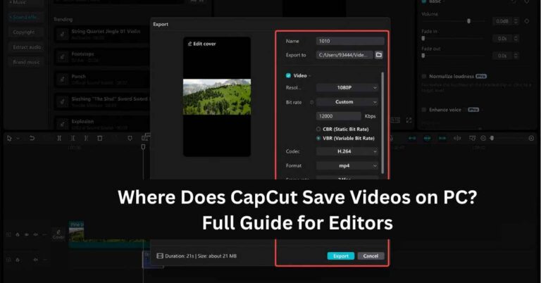 Where Does CapCut Save Videos on PC Full Guide for Editors