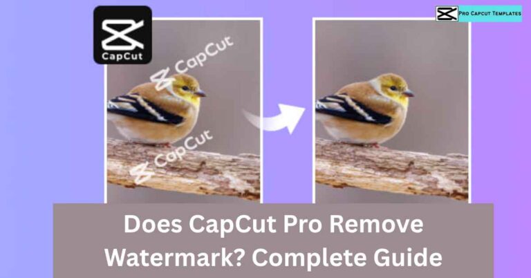 Does CapCut Pro Remove WatermarkComplete Guide