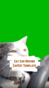 CapCut Cat Car Driving Template