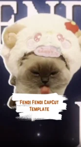 Fendi Fendi CapCut Template
