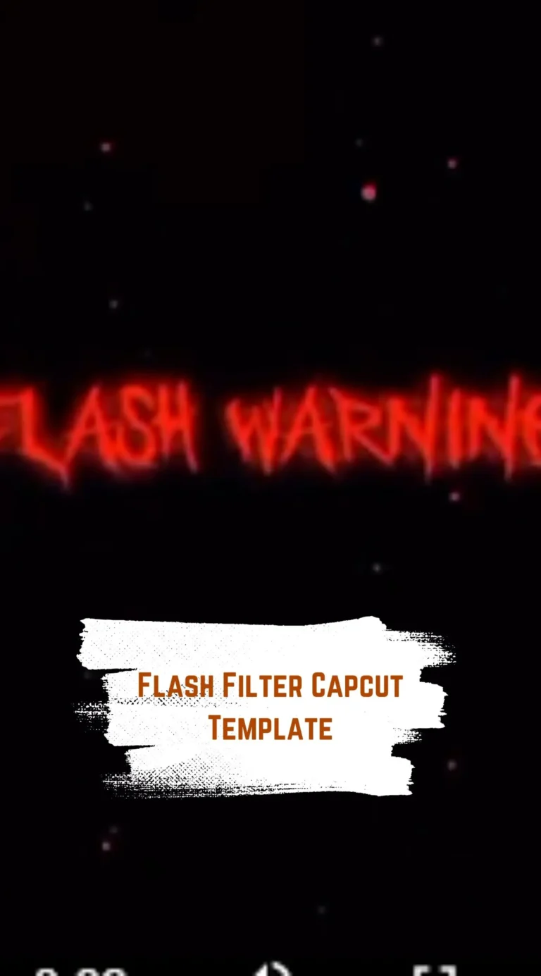 Capcut Flash Filter Template