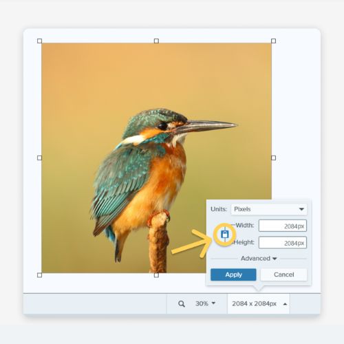 Common Problems When Resizing Images Online