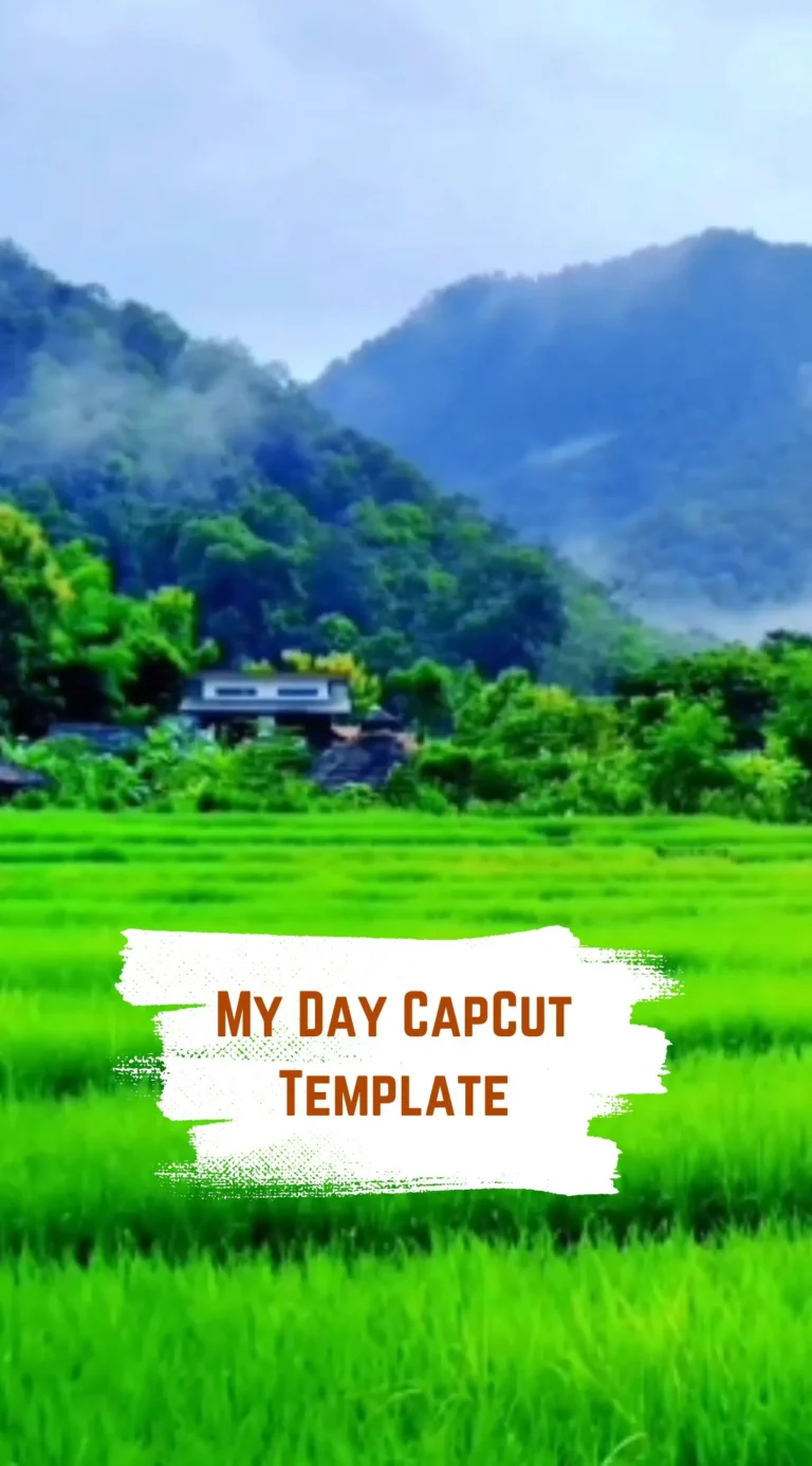 CapCut My Day Template