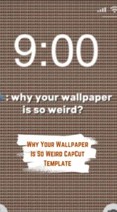CapCut Why Your Wallpaper Is So Weird Template