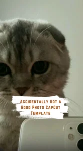 CapCut Accidentally Got a Good Photo Template