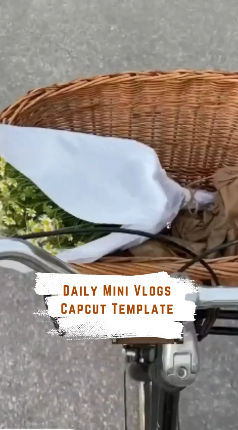 Capcut Daily Mini Vlogs Template