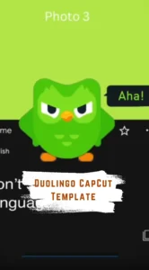 CapCut Duolingo Template