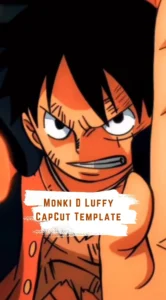 Monki D Luffy Template