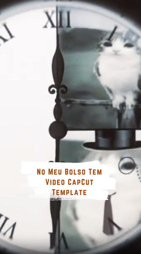 No Meu Bolso Tem Video Template