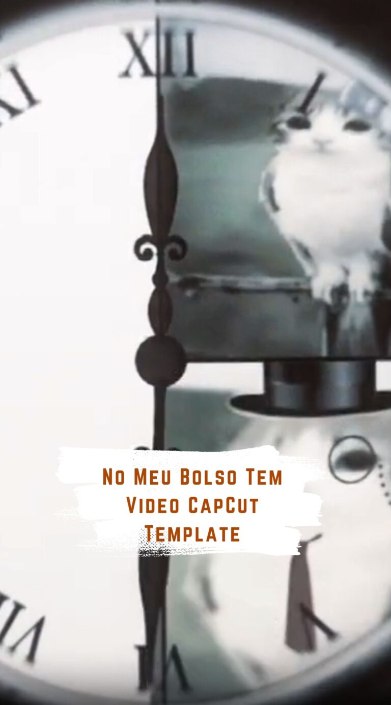 No Meu Bolso Tem Video Template