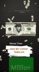 CapCut Rich Boy Template