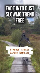 Capcut Stardust Effect Template
