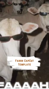 CapCut Fahhh Template